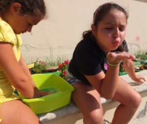 quinta settimana centro estivo 2014