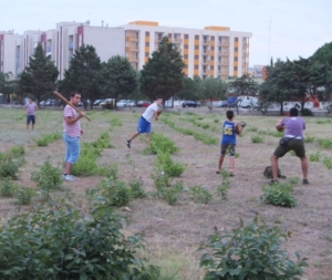 Baseball in Paradiso :)