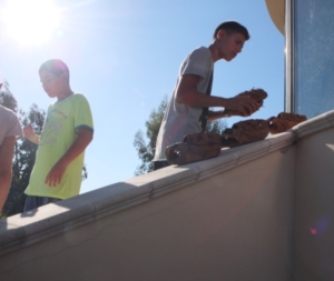 Baseball in Paradiso :)