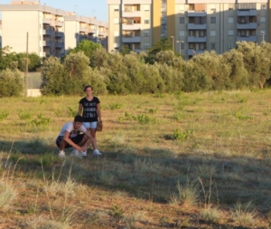 Baseball in Paradiso :)