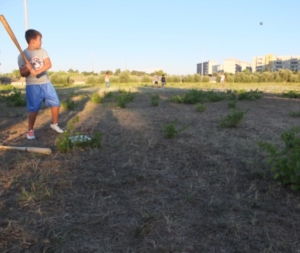 Baseball in Paradiso :)