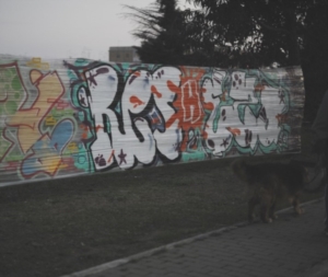 URBAN MINDS-C.A.G. PARADISO- 15.03.2015