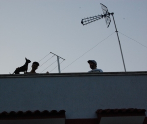 RESTATE IN STRADA 2015