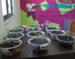 Centro Estivo Paradiso prima settimana