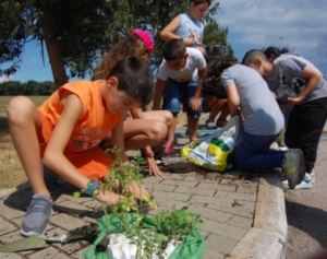 Centro Estivo Paradiso seconda settimana