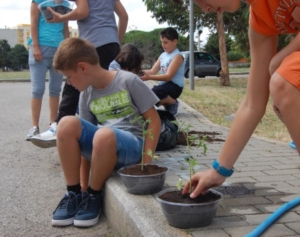 Centro Estivo Paradiso seconda settimana