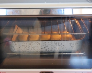 Centro Estivo Paradiso seconda settimana