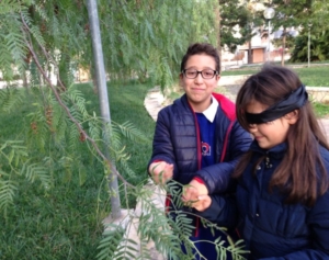 Guide di Quartiere- Scuola Elementare