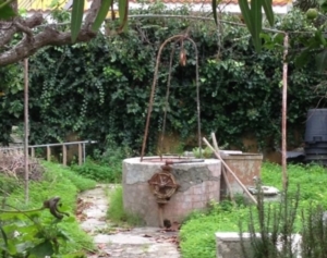 Guide di Quartiere- Scuola Elementare