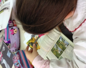 Guide di Quartiere- Scuola Elementare