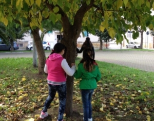 Guide di Quartiere-Scuola Media