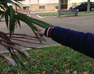 Guide di Quartiere-Scuola Media