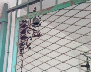 Guide di Quartiere-Scuola Media