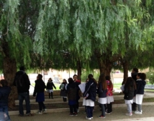 Guide di Quartiere-Scuola Media