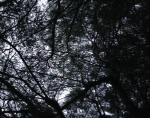 Guide di Quartiere-Scuola Media