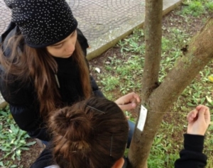 Guide di Quartiere-Scuola Media