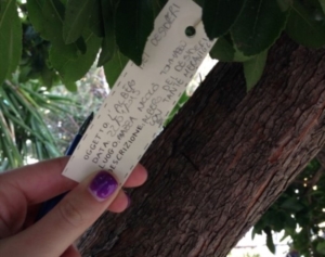 Guide di Quartiere-Scuola Media