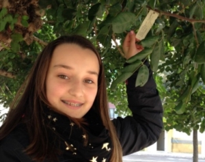 Guide di Quartiere-Scuola Media