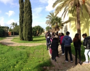 Guide di Quartiere-Scuola Media