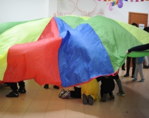 Carnevale Perrino 4 febbraio 2016