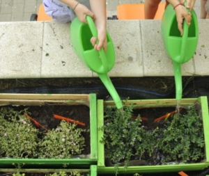 prima settimana centro estivo 2014