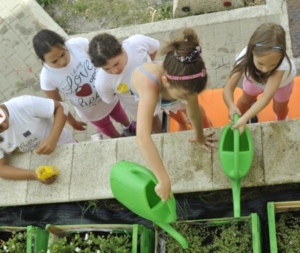 prima settimana centro estivo 2014