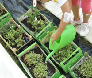 prima settimana centro estivo 2014