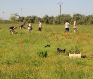 Un bosco in Paradiso-Spring Hill Collage di Bologna